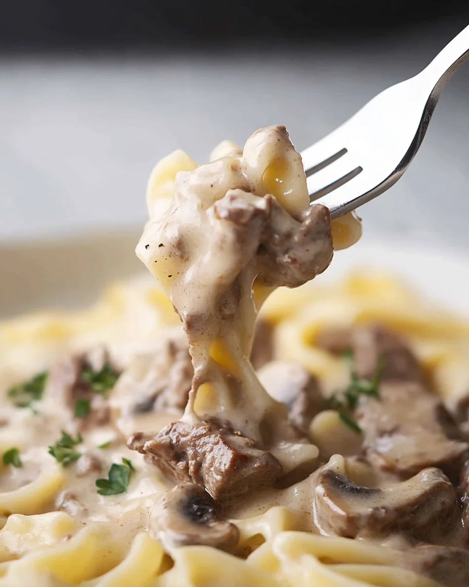 ground beef stroganoff with cream of mushroom soup (3)