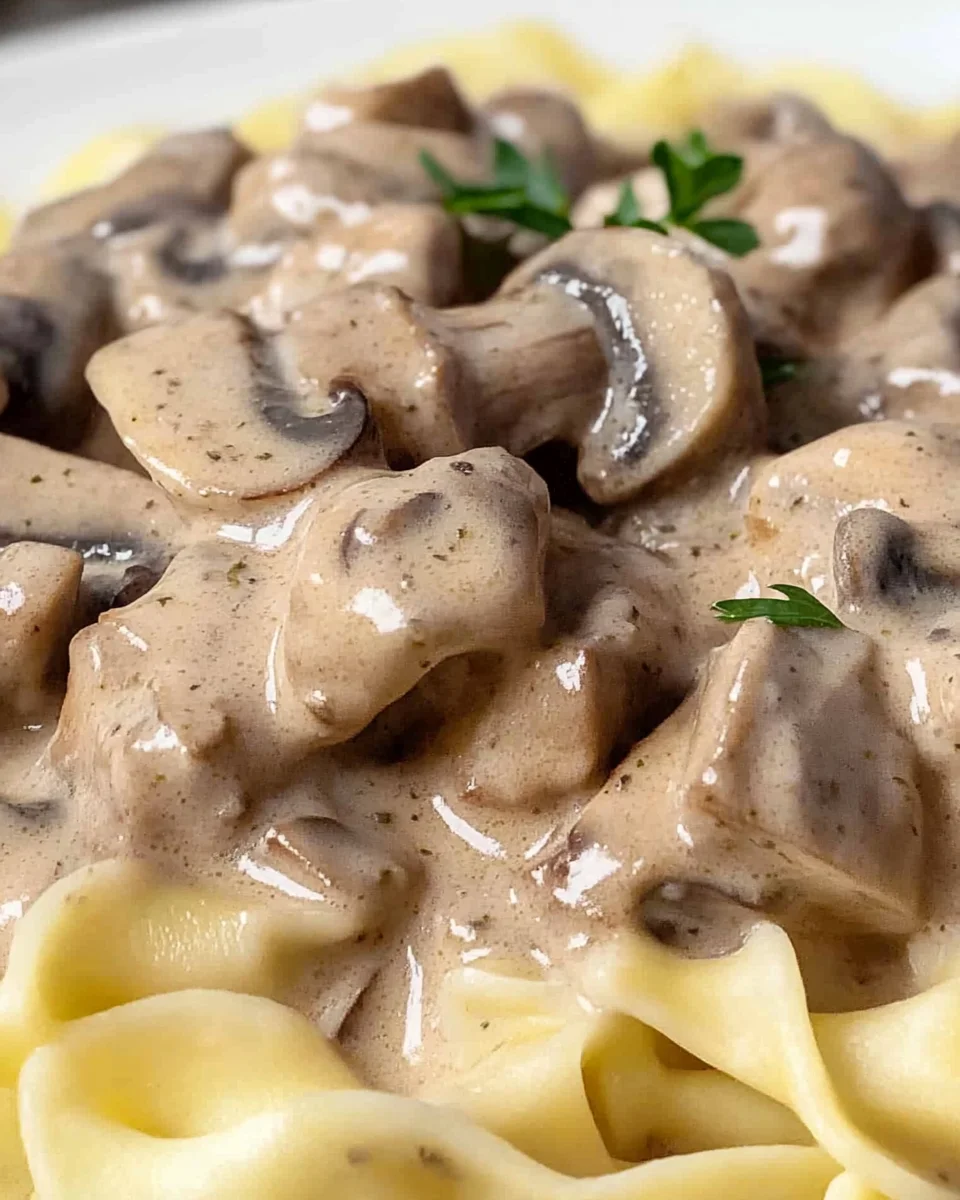 ground beef stroganoff with cream of mushroom soup