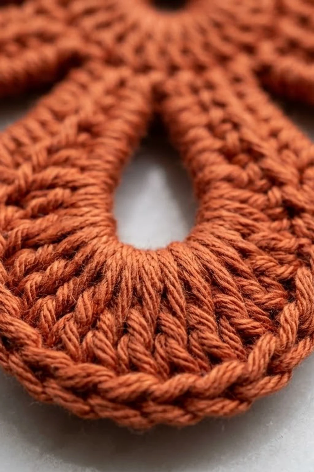 Close-up of rust-orange crocheted fabric with detailed stitch texture and white background showing through.