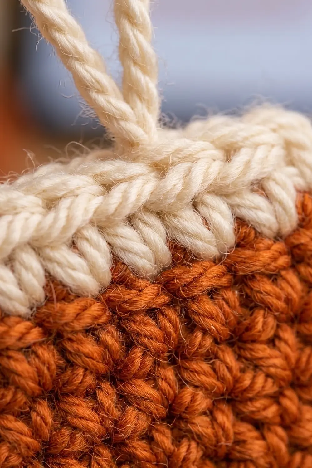 Cream and burnt orange twisted ropes with braided texture against a blurred mountain and sky background.